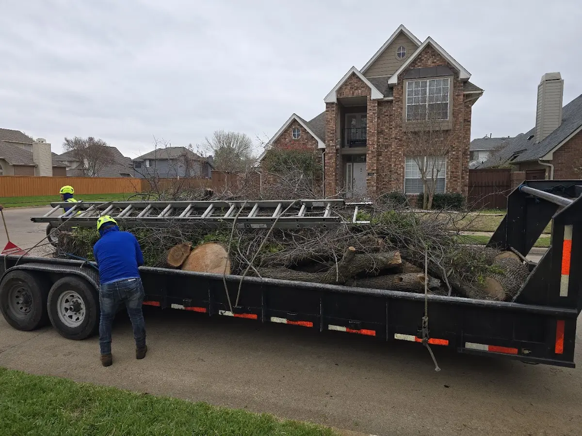Expert Tree Pest Control with proper safety equipment in Milburn